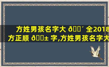 方姓男孩名字大 🐴 全2018方正顺 🐱 字,方姓男孩名字大全2018年属虎